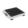 Seca 876 electronic scale