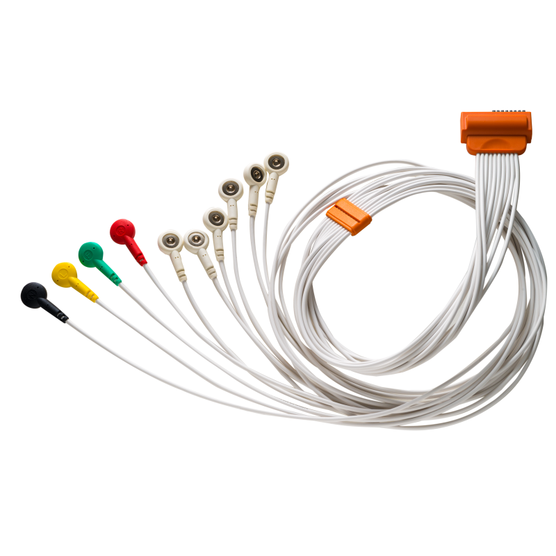 Câble Patient Snap IEC 10 Brins pour TouchECG HD+ Cardioline